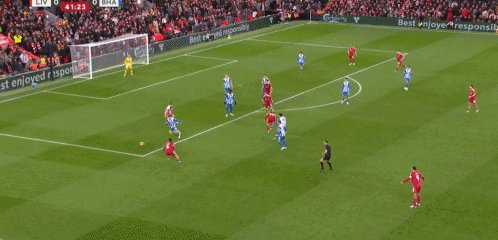 1771115504805031078.gif 1771115504805031078.gif